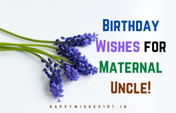 Best Birthday Wishes for Maternal Uncle