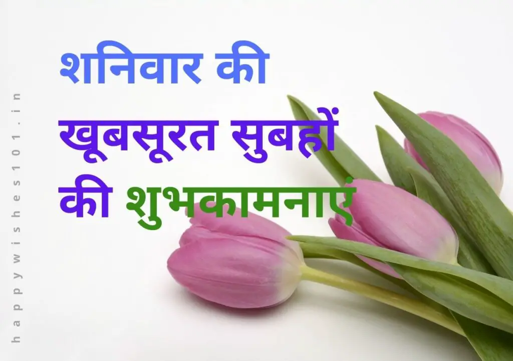 शनिवार की खूबसूरत सुबहों की शुभकामनाएं संदेसा और कोटेस हिंदी में | Good Morning Wishes, Messages, Quotes for Saturday in Hindi